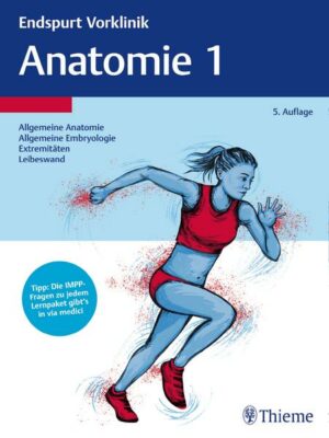 Endspurt Vorklinik: Anatomie 1