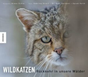 Wildkatzen