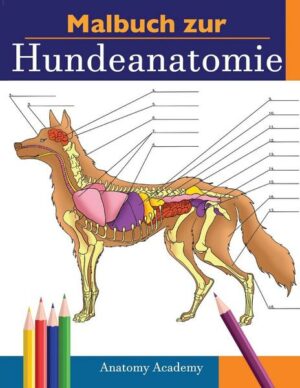 Malbuch zur Hundeanatomie