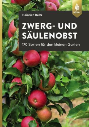 Zwerg- und Säulenobst