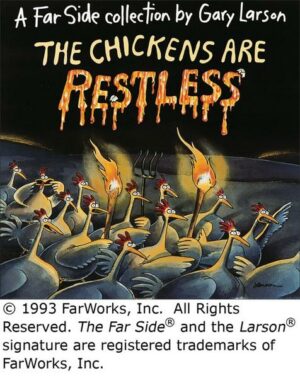 The Chickens Are Restless