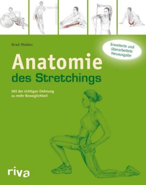 Anatomie des Stretchings