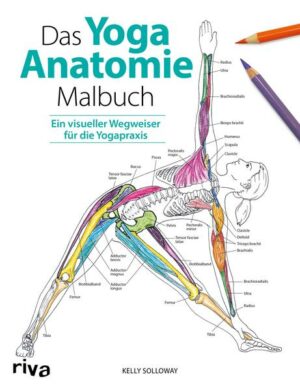 Das Yoga-Anatomie-Malbuch