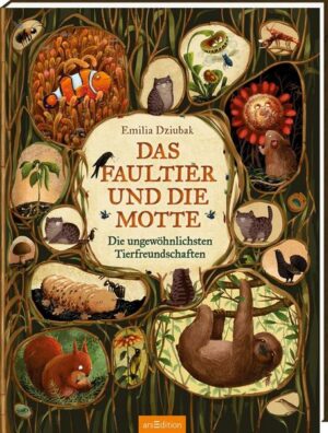 Das Faultier und die Motte