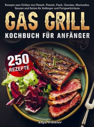 Gas Grill Kochbuch Für Anfänger