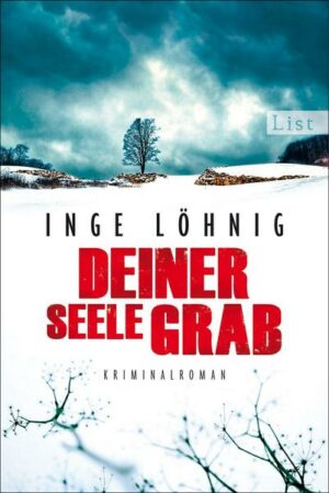 Deiner Seele Grab / Kommissar Dühnfort Bd.6