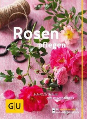 Rosen pflegen