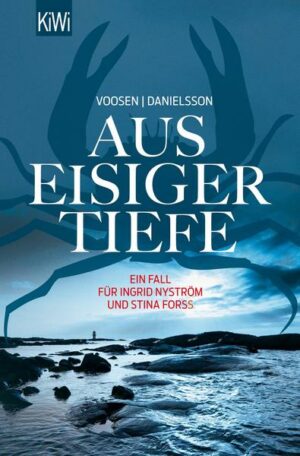 Aus eisiger Tiefe / Ingrid Nyström & Stina Forss Bd.3