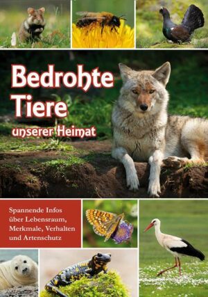 Bedrohte Tiere unserer Heimat