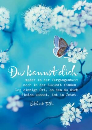 Eckhart Tolle Postkarten 'Du kannst dich'