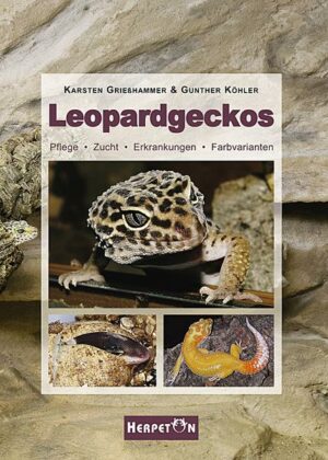 Leopardgeckos