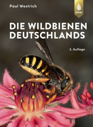 Die Wildbienen Deutschlands