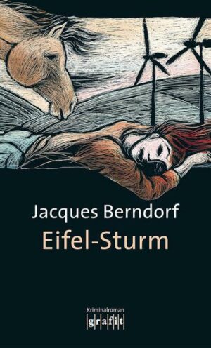 Eifel-Sturm / Eifel Krimis Bd. 12
