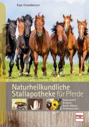 Naturheilkundliche Stallapotheke für Pferde