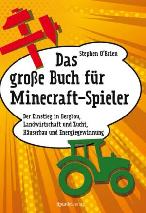 Das große Buch für Minecraft-Spieler