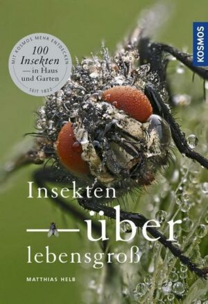 Insekten überlebensgroß