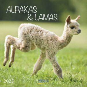 Alpakas und Lamas 2023