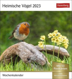 Heimische Vögel Postkartenkalender 2023