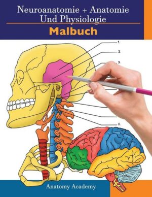 Neuroanatomie + Anatomie und Physiologie Malbuch