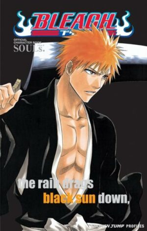 Bleach: Souls. Official Character Book [With Stickers]