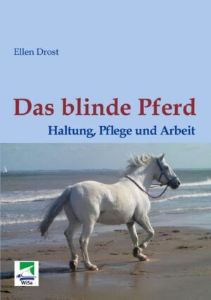 Das blinde Pferd: Haltung