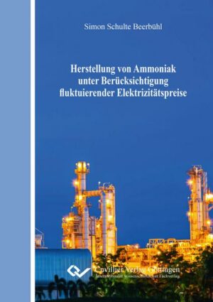 Herstellung von Ammoniak unter Berücksichtigung fluktuierender Elektrizitätspreise