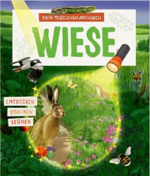 Mein Taschenlampenbuch Wiese