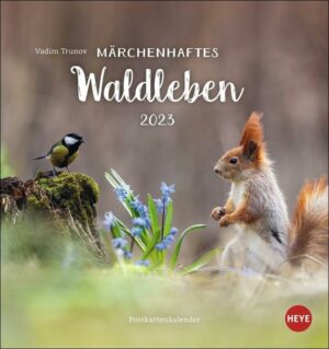 Vadim Trunov: Märchenhaftes Waldleben Postkartenkalender 2023