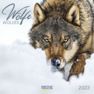 Wölfe 2023