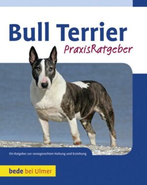 Bull Terrier