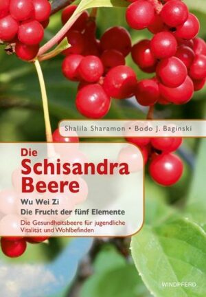 Die Schisandra-Beere