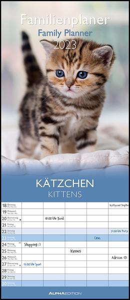 Kätzchen 2023 Familienplaner - Familienkalender - Wandkalender - 19
