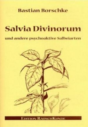 Salvia Divinorum