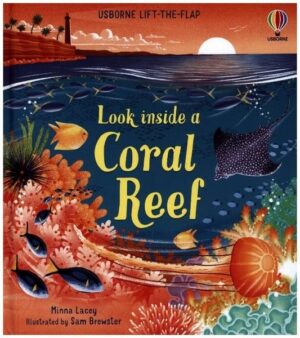 Look inside a Coral Reef