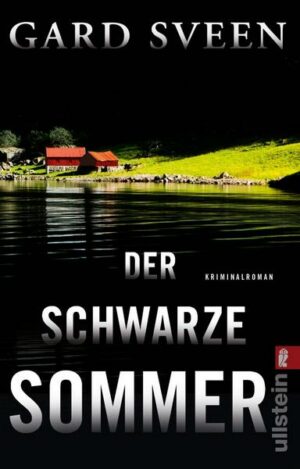 Der schwarze Sommer (Ein Fall für Tommy Bergmann 5)