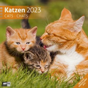 Katzen Kalender 2023 - 30x30