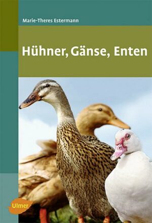 Hühner