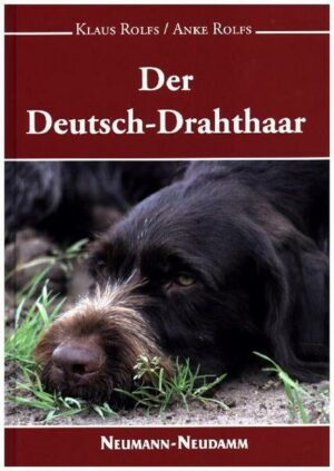 Der Deutsch-Drahthaar