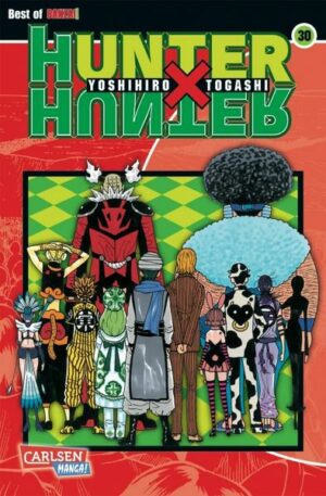 Hunter X Hunter 30