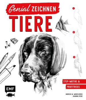 Genial zeichnen – Tiere