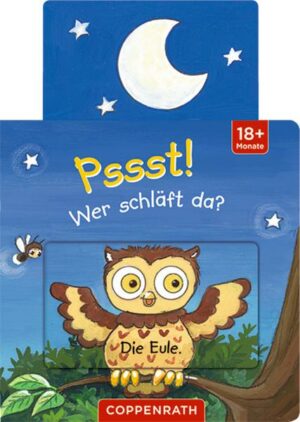 Minifanten 10: Pssst! Wer schläft da?