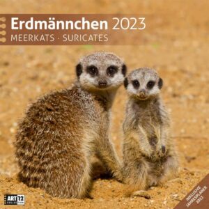 Erdmännchen Kalender 2023 - 30x30