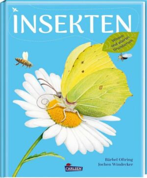 Insekten – Wissen und allerlei Drumherum