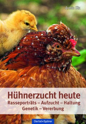 Hühnerzucht heute