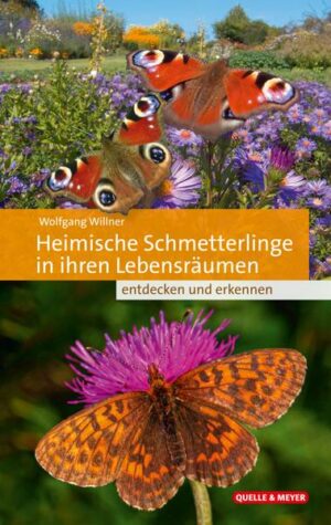 Heimische Schmetterlinge in ihren Lebensräumen