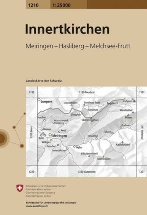 Swisstopo 1 : 25 000 Innertkirchen