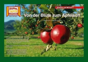 Kamishibai: Von der Blüte zum Apfelsaft