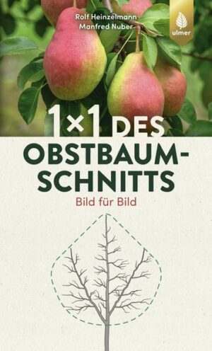 1 x 1 des Obstbaumschnitts