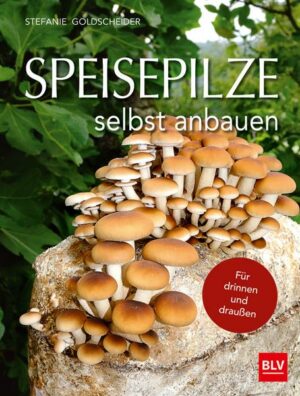 Speisepilze selbst anbauen