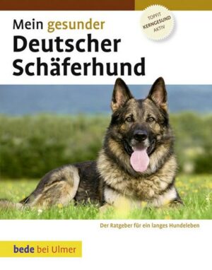 Mein gesunder Deutscher Schäferhund